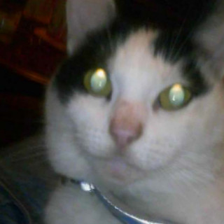 Foto van Precieuse_int